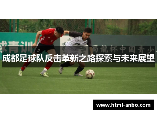 成都足球队反击革新之路探索与未来展望
