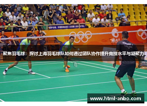 聚焦羽毛球：探讨上海羽毛球队如何通过团队协作提升竞技水平与凝聚力